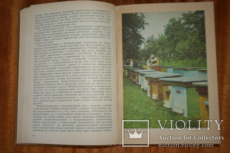 Карпатские пчелы. Справочник. 2-е издание. 1989, фото №5