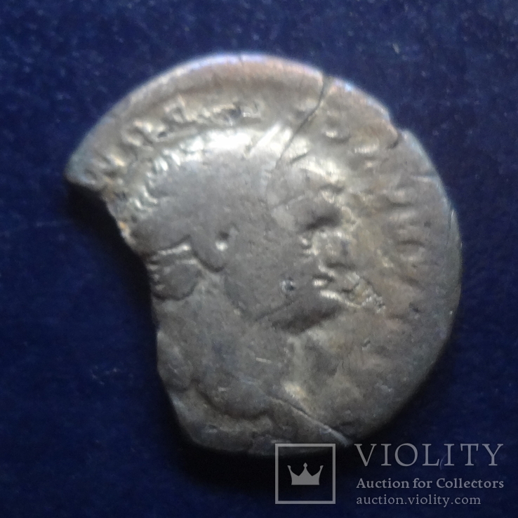 Денарий Васпасиан Всадник серебро (Г.6.55), фото №2