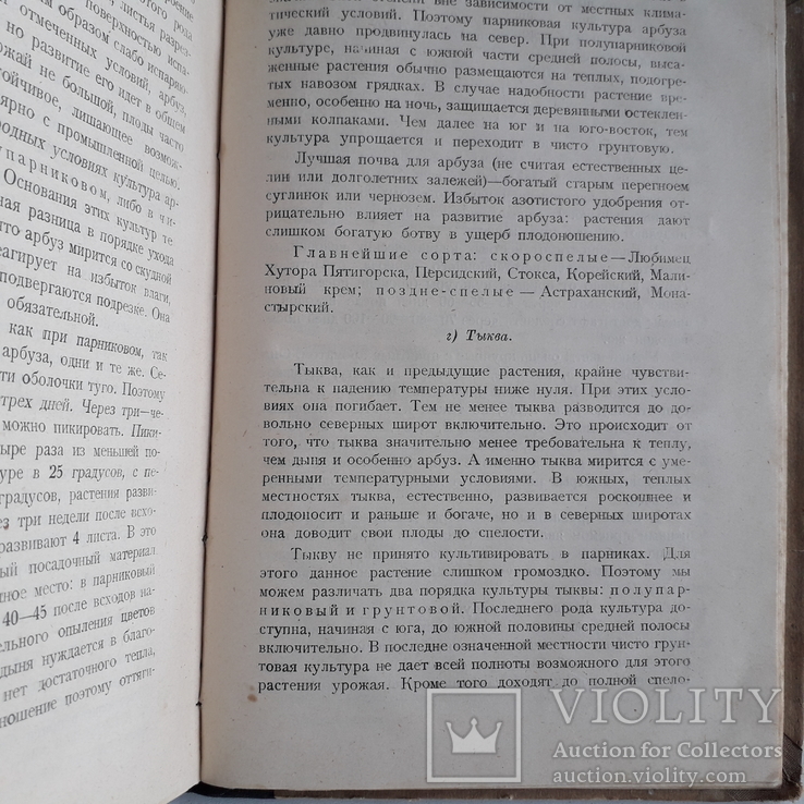 1925 г. Руководство по огородничеству, фото №11