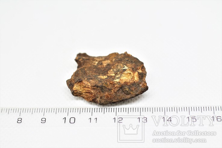 Залізо-кам'яний метеорит Seymchan, 21.3 грам, із сертифікатом автентичності, фото №4
