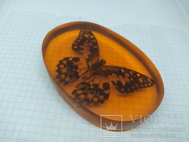 Настольный сувенир или пресс-папье. Крупная бабочка в эпоксидке, фото №7