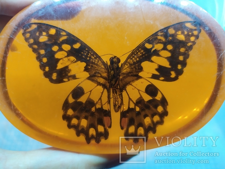 Настольный сувенир или пресс-папье. Крупная бабочка в эпоксидке, фото №8