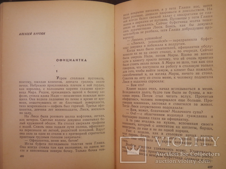 Белорусские рассказы. Советский писатель. 1962 г. (тираж 30000 экз.), фото №6