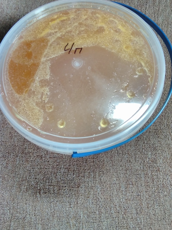 Мёд подсолнух. 3.3л. (4.5 кг.)№4