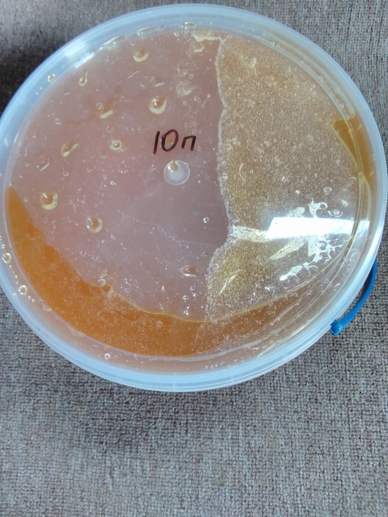 Мёд подсолнух. 3.3л. (4.5 кг.)№10
