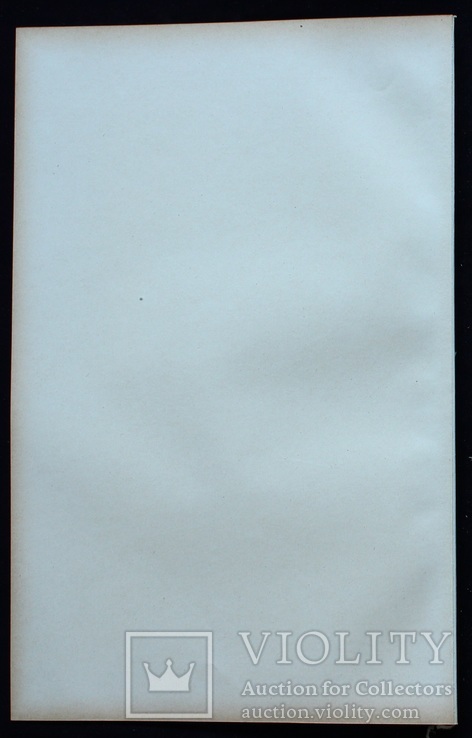 3 карты. Кавказ, Палестина, Азия. Andrees HandAtlas. 1921 год. 56 на 44 см., фото №10