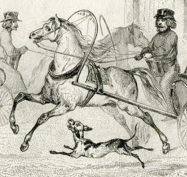 Старинная гравюра. Российская Империя. 1838. На повозках., фото №6