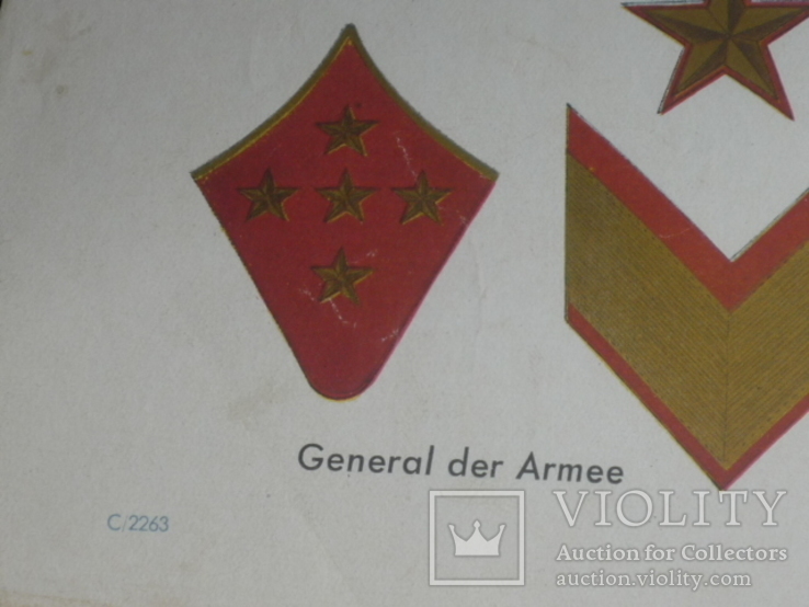 Uniformtafel der Roten Armee.1941г. Оригинал., фото №7