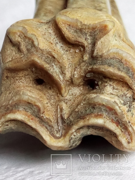 Окаменелый зуб крупного древнего животного