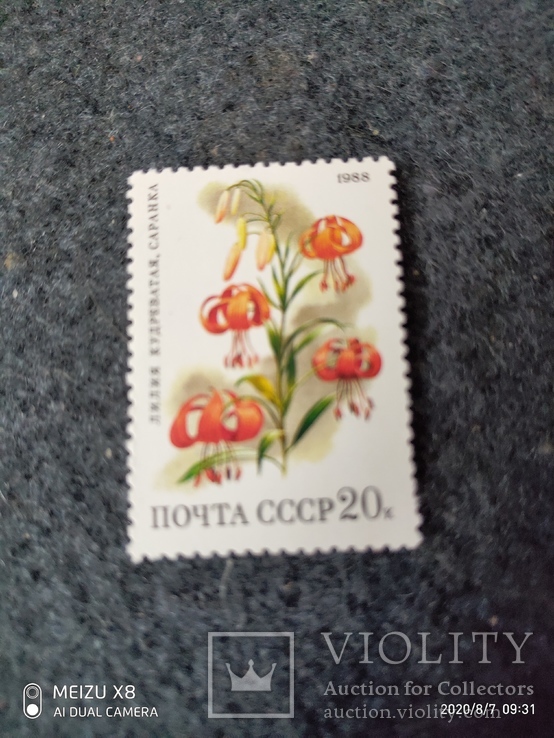Абкляч марки СССР, фото №2