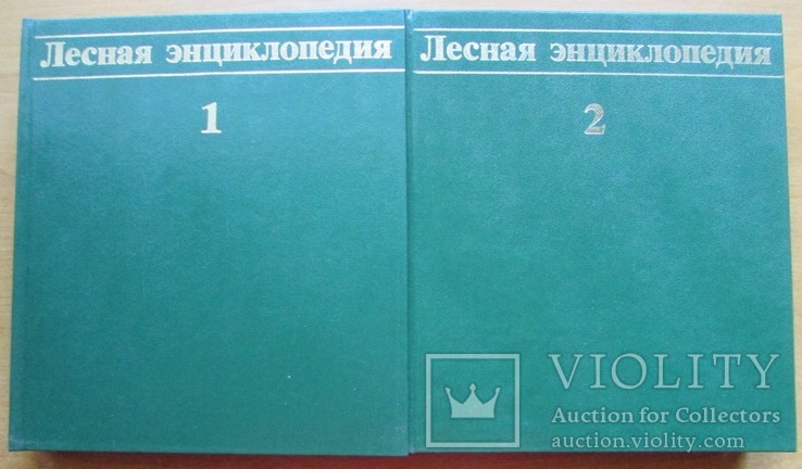 Лесная энциклопедия. В 2-х томах. Москва: Советская энциклопедия, 1985/6, фото №7