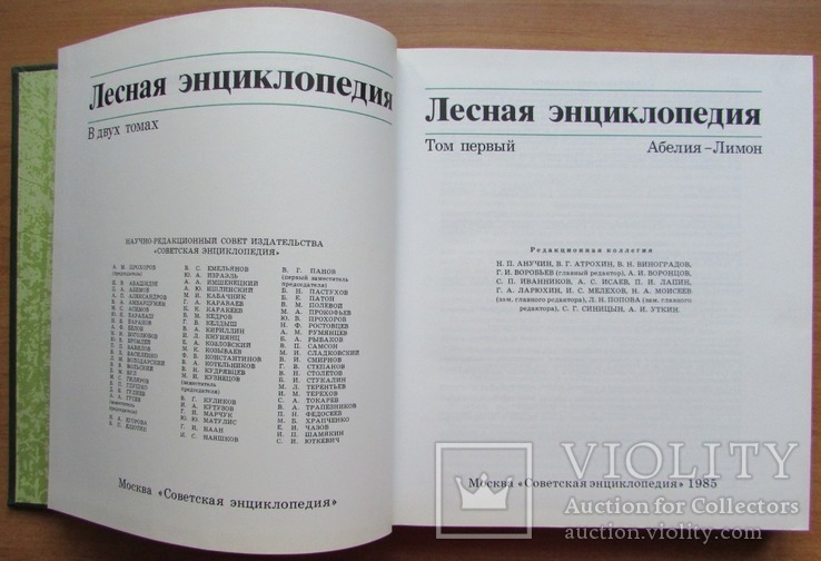 Лесная энциклопедия. В 2-х томах. Москва: Советская энциклопедия, 1985/6, фото №9