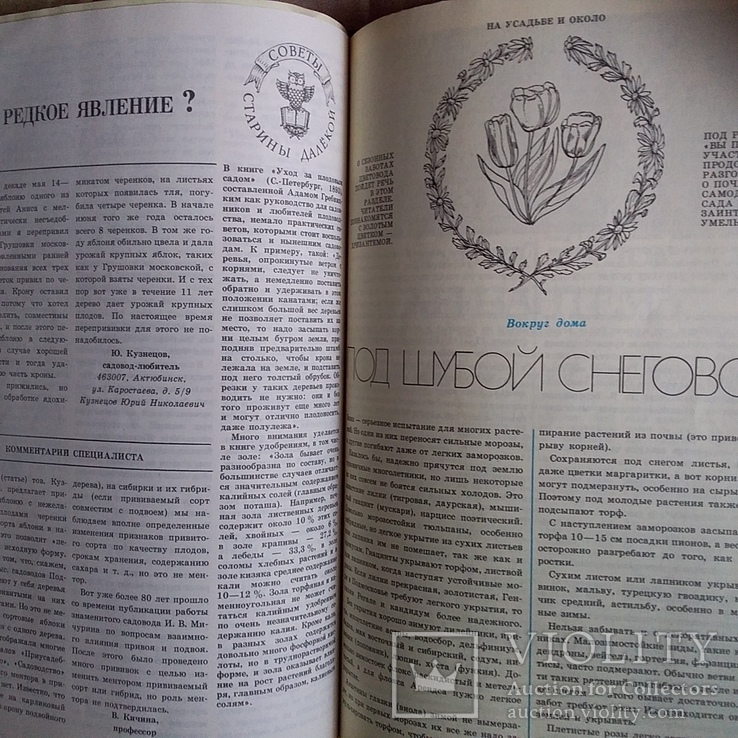Підшивка Приусадебное хозяйство  № 4,5,6 1986р., фото №5