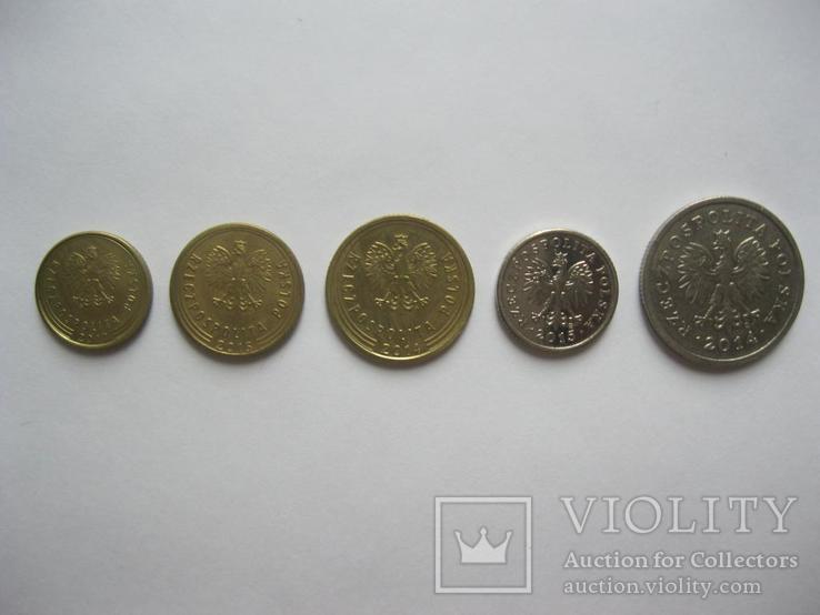 Польша 1, 2, 5, 10 грошей, 1 злотый 2014-2017 набор монет, фото №3