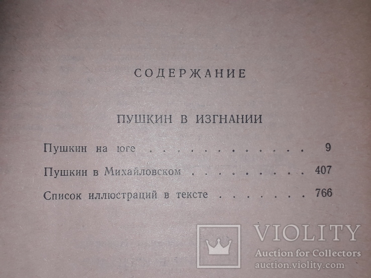 І.А.Новіков - Пушкін на засланні. 1985 рік, фото №8