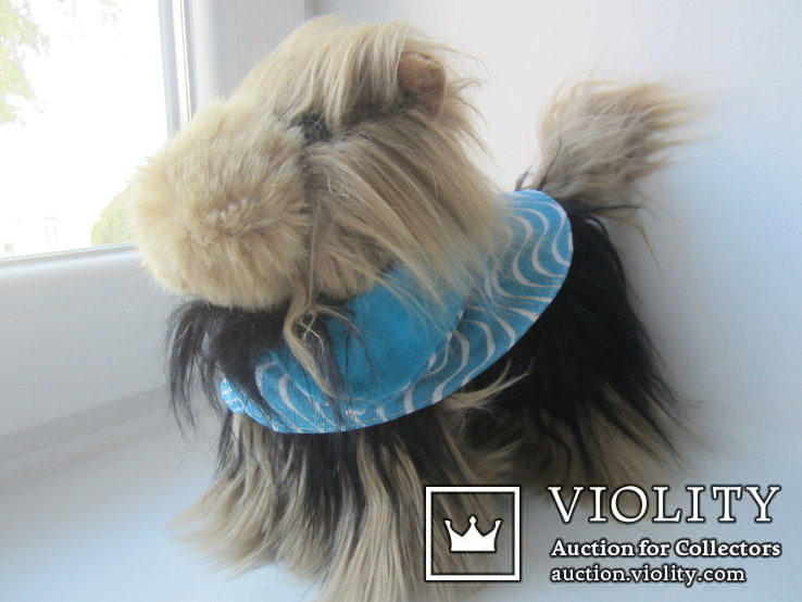  Toy igashka dog Yorkshire terrier, photo number 4