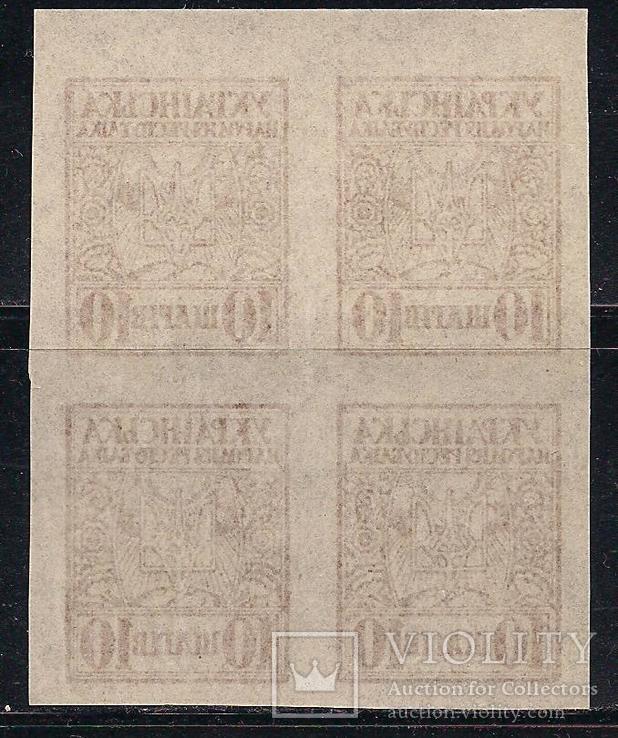 Украина**, 1918 г., УНР, шаги, фото №3