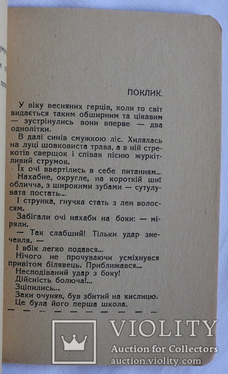 Василь Кархут, "На мандрівці" (1930). Обкладинка Степана Луцика. Пласт, фото №5