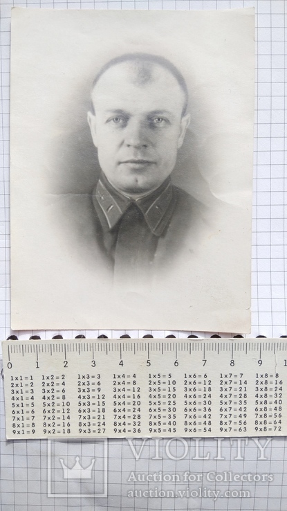 Портрет летчика воевал против Деникина, фото №2