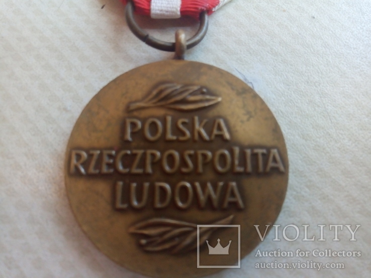 Медаль Комиссии народного образования, фото №5