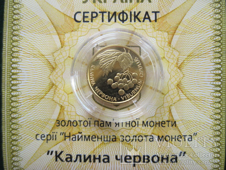 Калина червона 2 гривні НБУ 2010 рік Калина красная Ідеал Золото 999,9, фото №3