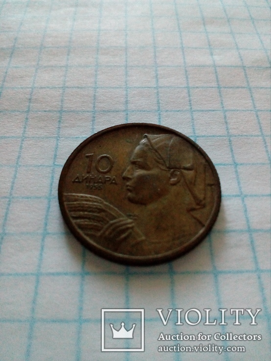 10 динар 1955 Югославия, фото №2