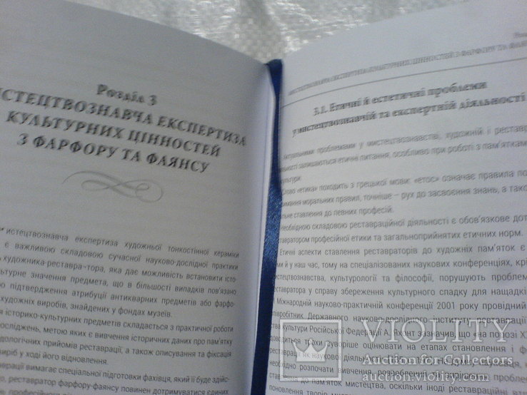 Експертиза украинського фарфору - фаянсу 19-20ст в контексте розвитку художньой культури, фото №3