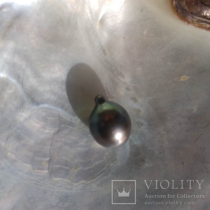 Натуральный морской чёрный жемчуг  Таити .12х16 мм капля, фото №3