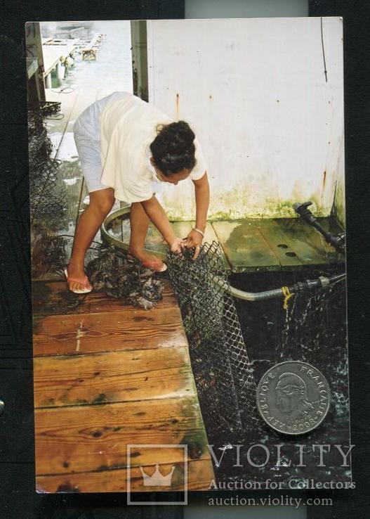 Натуральный морской чёрный жемчуг  Таити .12х15 мм барочная, фото №9