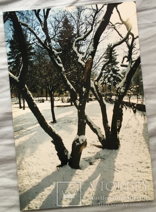 Фото (15*10 см.) фотохуд. Топалова Г.П. "Зимний парк", 90-е г.г.., фото №2
