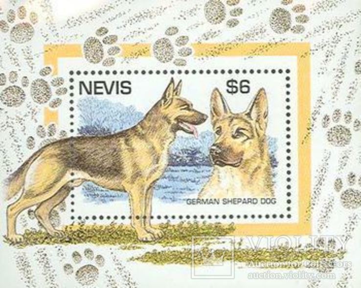 Невис 1995 БЛ собаки
