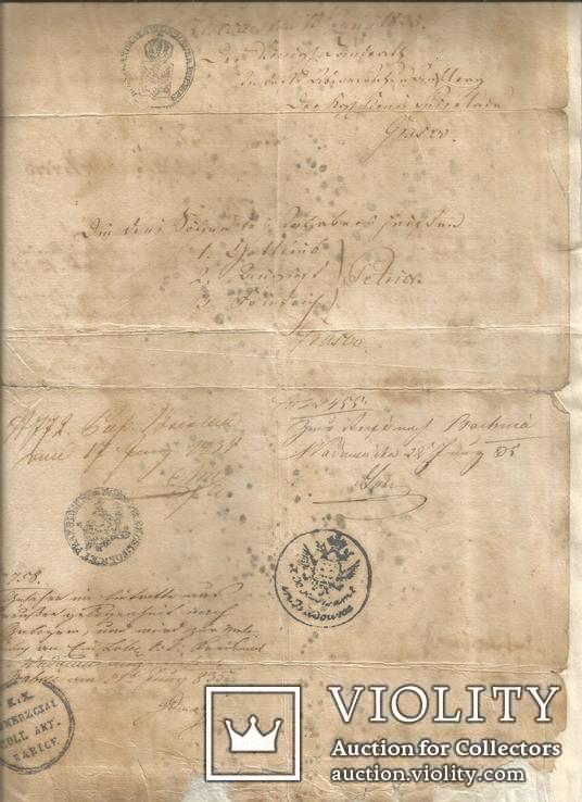 Паспорт 1834 Пруссия Германия Визы Пограничные штампы, фото №4