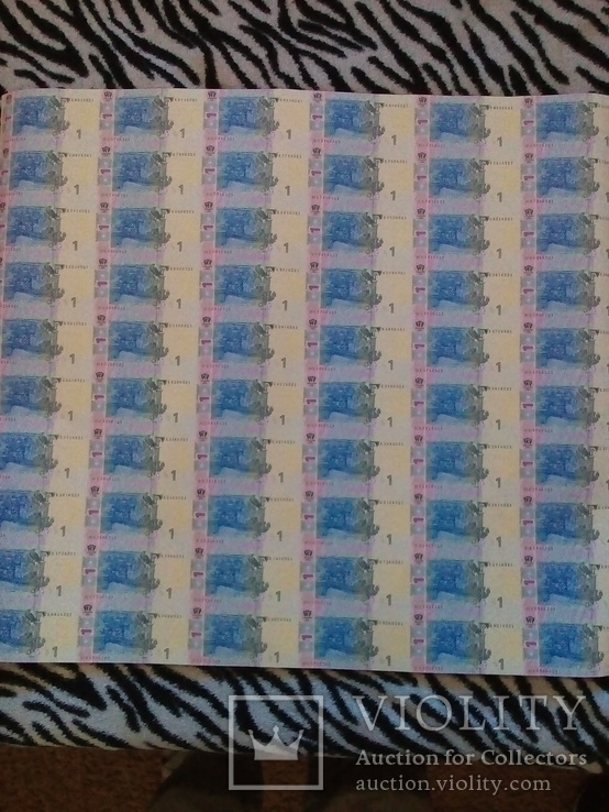 1 Гривна . Неразрезаный лист 60 банкнот. НБУ., фото №3