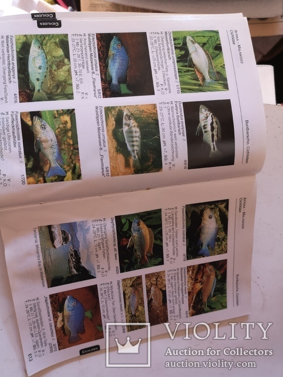 Книга аквариум рыбки  Baensch Aquarium Atlas Photo Index 1-5, фото №12