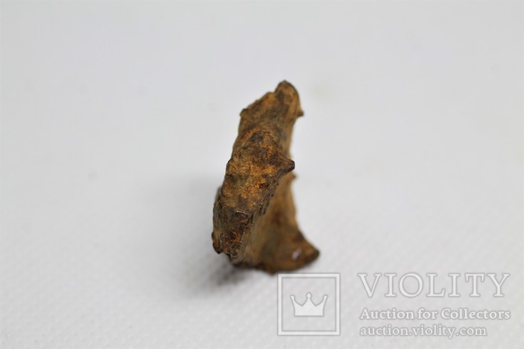 Залізний метеорит Sikhote-Alin, 14,9 грама, з сертифікатом автентичності, фото №11
