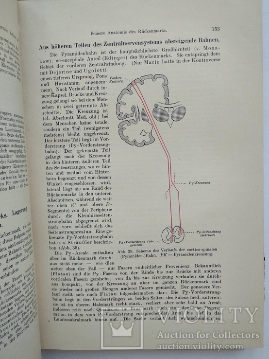 1910 Неврология Немецкий язык Левандовский, фото №9