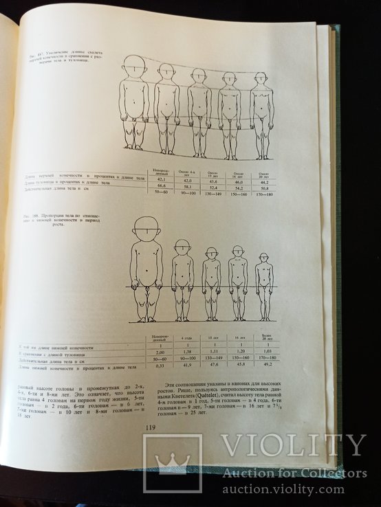 Г. Гицеску. Пластическая анатомия. В 3-х томах., фото №7