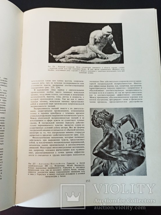 Г. Гицеску. Пластическая анатомия. В 3-х томах., фото №13
