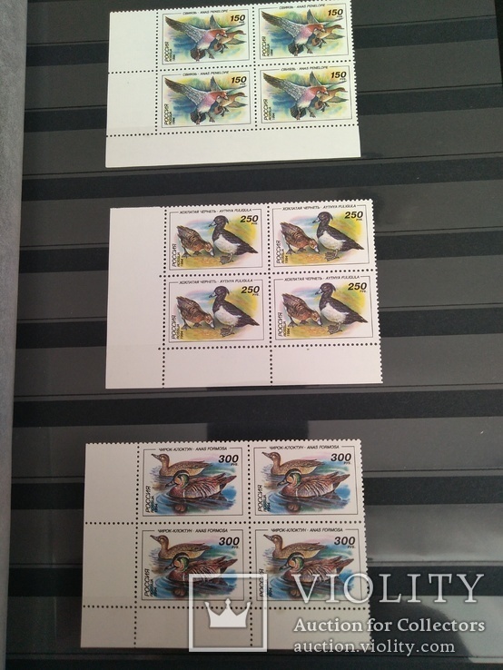 Россия 1994 Mi 389-391** Утки. Полная серия mnh