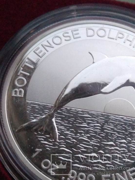 Дельфін Дельфин 2020 г 1 доллар 1 oz Унция Серебро Австралия, фото №5