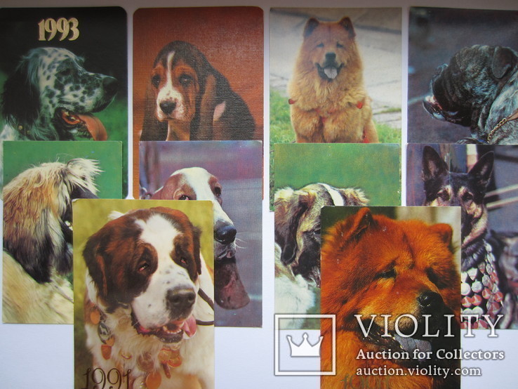 Календарики животные собака, 1991-1993 гг., 11 шт., фото №2