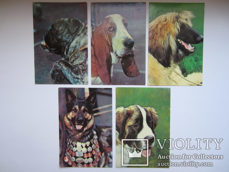 Календарики животные собака, 1991-1993 гг., 11 шт., фото №3