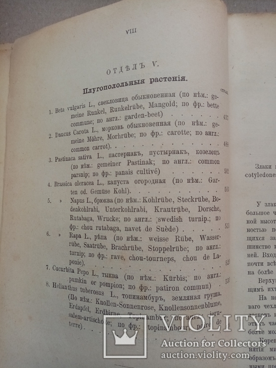 Руководство к возделыванию кормовых растений 1891 год, фото №4