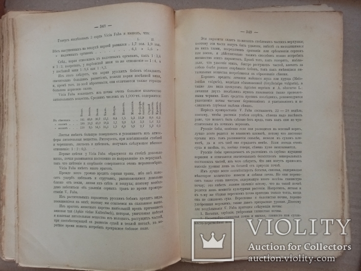 Руководство к возделыванию кормовых растений 1891 год, фото №7