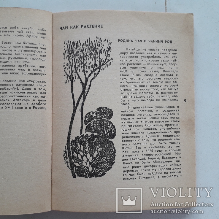 1968 г. Чай. Его типы, свойства, употребление., фото №4