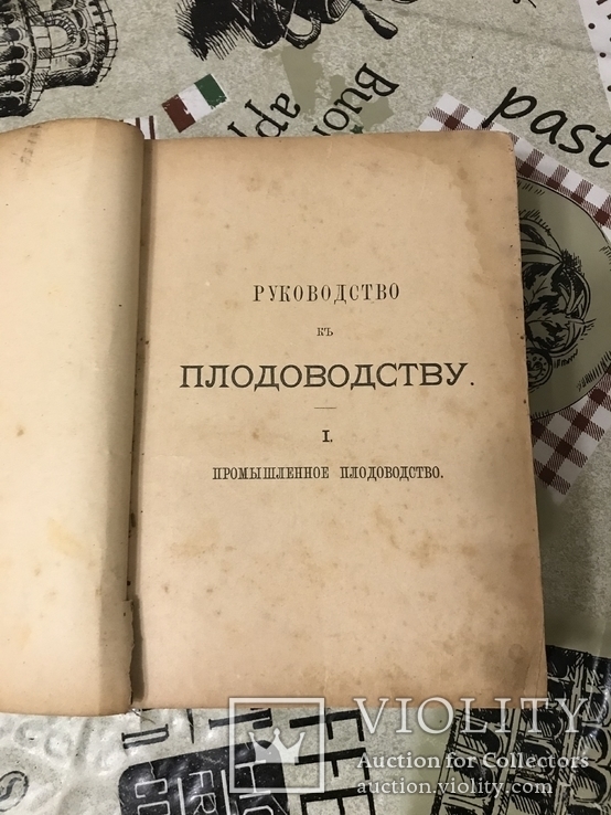 Книга Гоше о плодах 1899г С 800 политипажами, фото №4