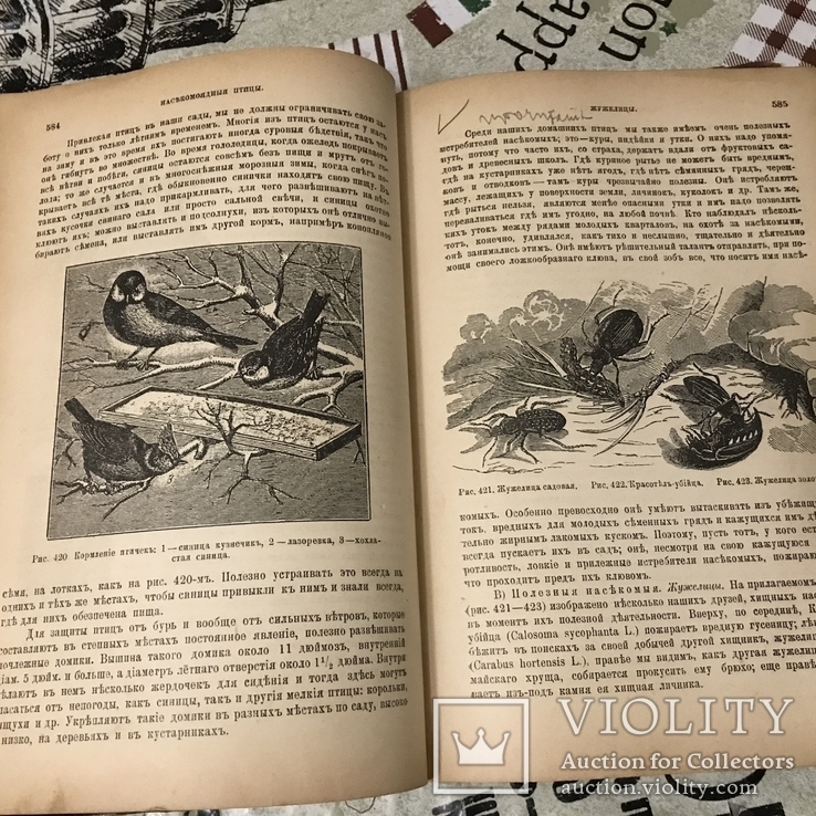 Книга Гоше о плодах 1899г С 800 политипажами, фото №7