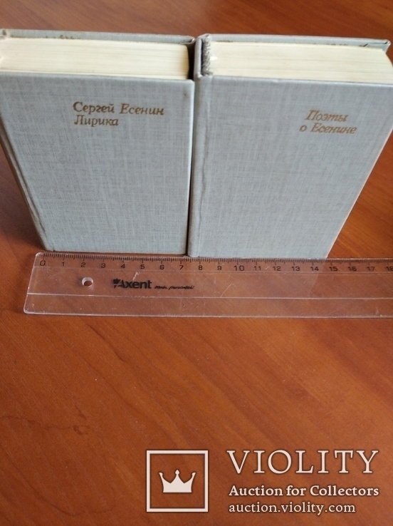 Миниатюра Есенин в 2 томах, в кассете., фото №5