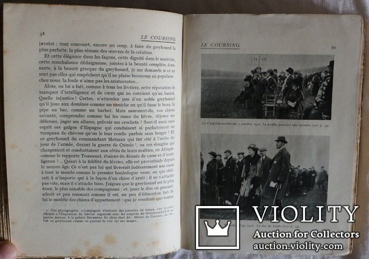 Подарункове видання про псове полювання, кориду, бої півнів (1912), фото №7