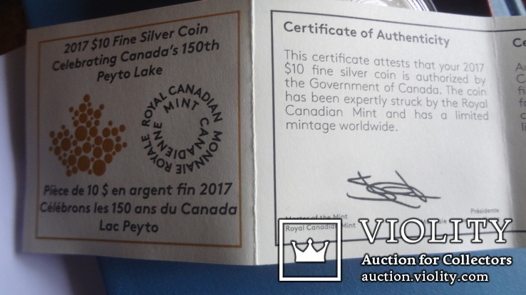 10  долларов  2017  Канада озеро Пейто  серебро, фото №7